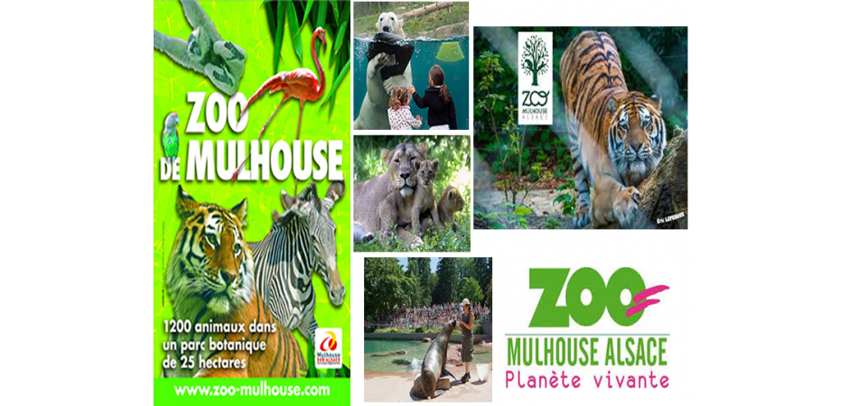 F3 Mulhouse proche Gare Centre Ville Zoo - capacité 7 Personnes