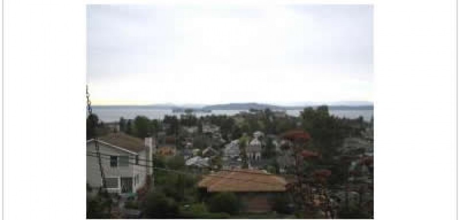 Lovely home located above Alki beac...