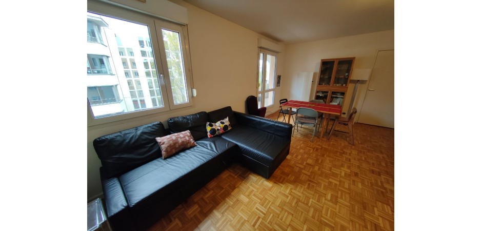 Appartement spacieux et lumineux à Montrouge-Paris