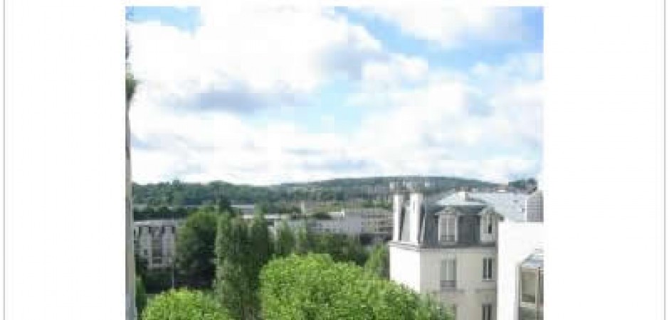 TB appartement de 85m2 exposé sud - Paris