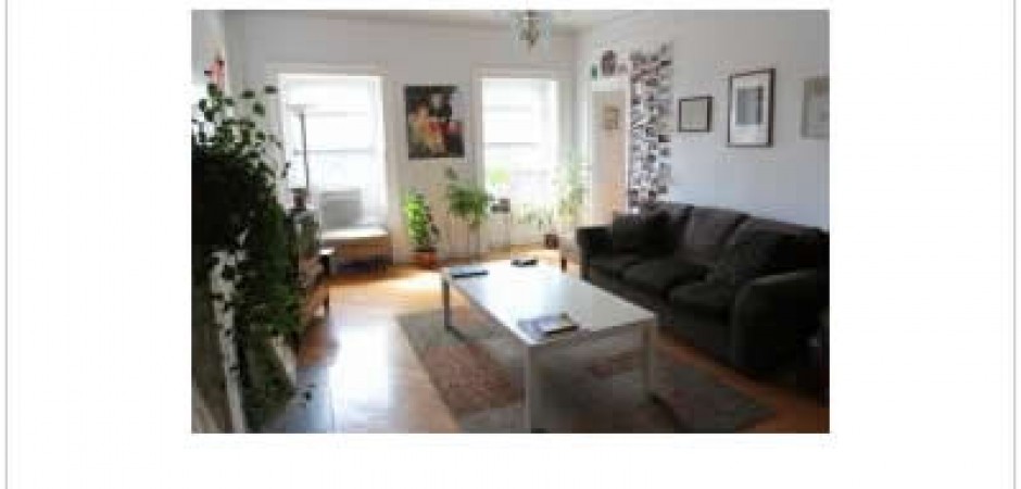Apartment in Fort Greene
