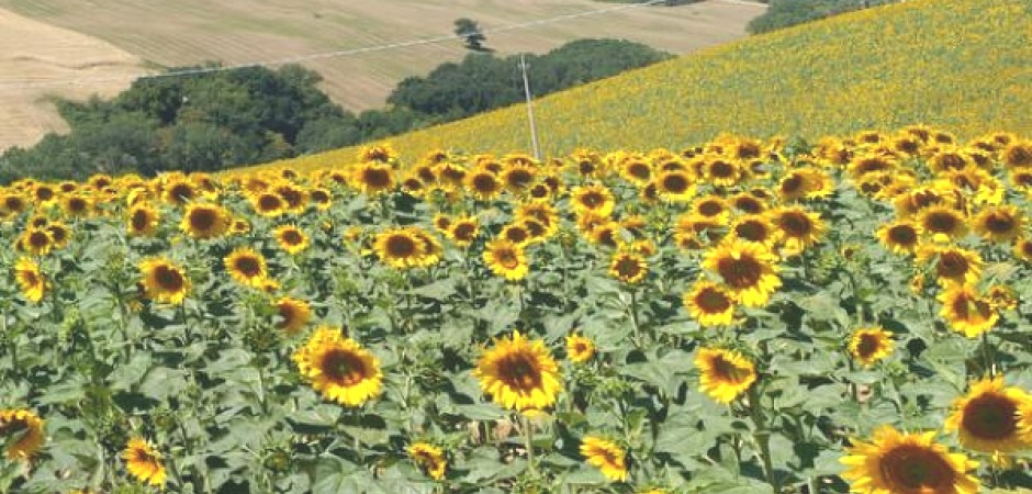 Maison écologique en Italie