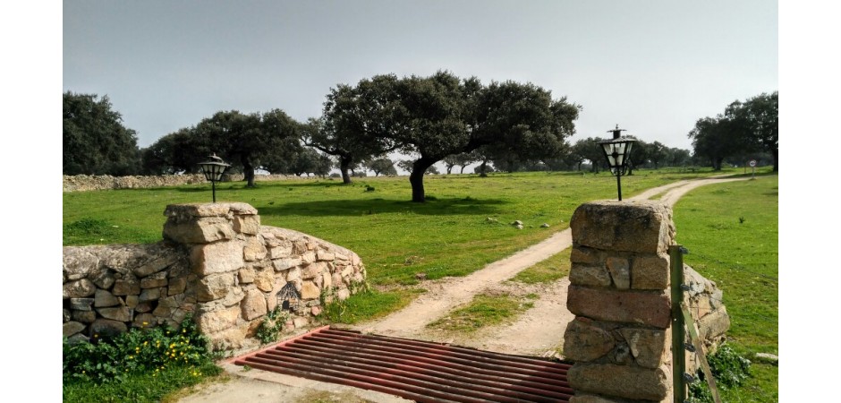 BONITA CASA EN ALMOHARÍN, CÁCERES