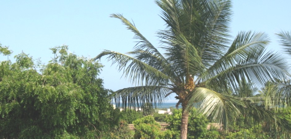 Petit Palais à Manjakuppam, Inde du sud 