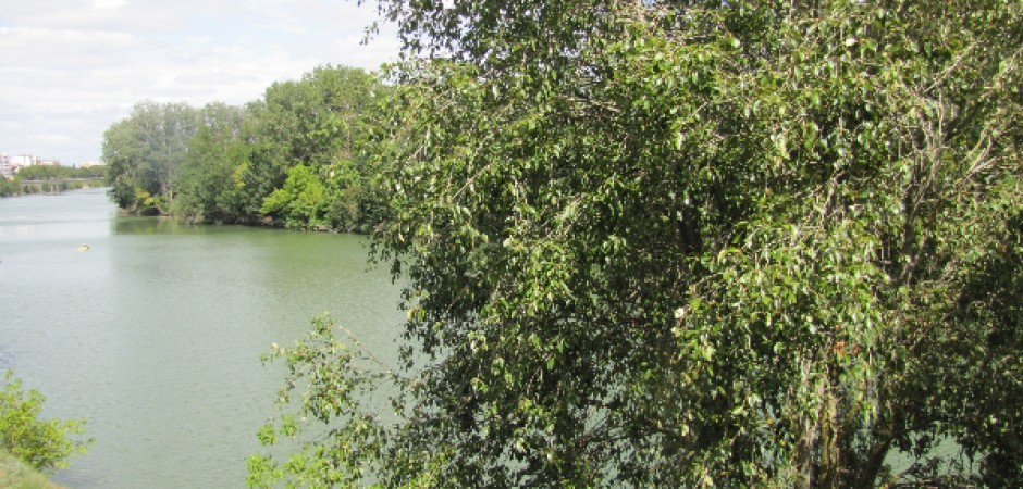 Au bord de la Garonne dans Toulouse la ville rose 