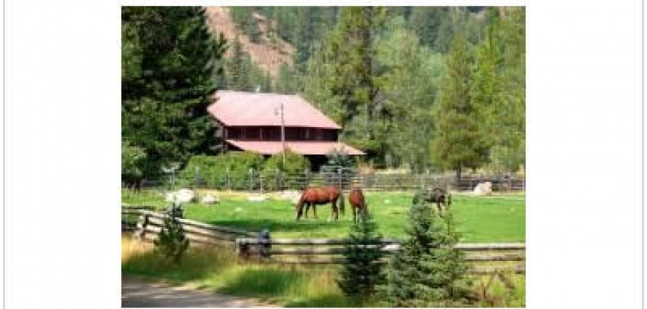 Lovely historic log lodge filled wi...