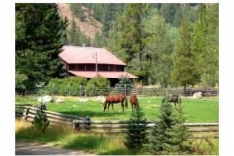 Lovely historic log lodge filled wi...