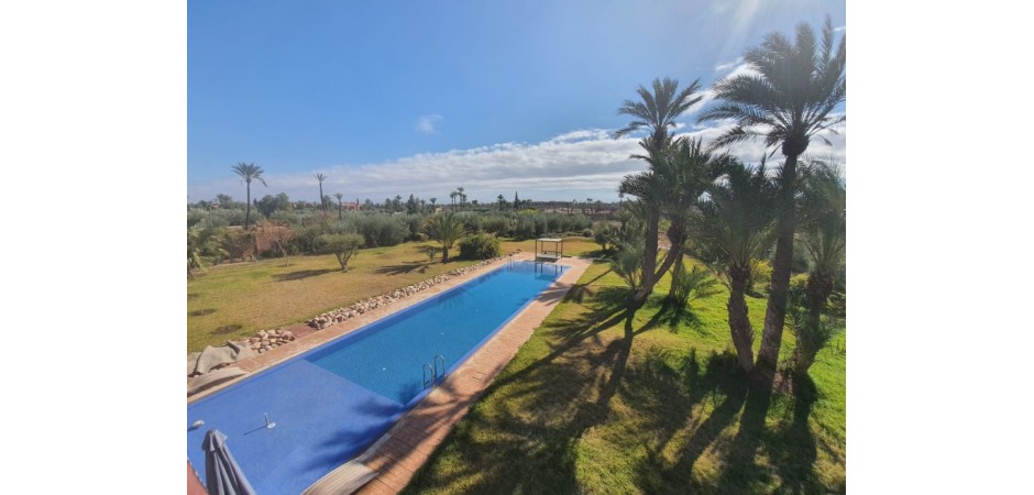 House in the middle of a palm grove