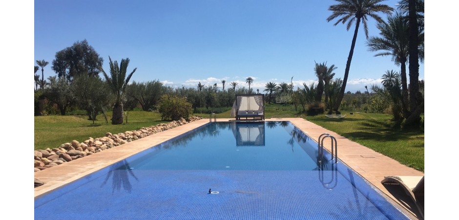 House in the middle of a palm grove