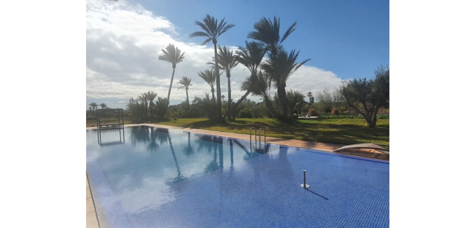 House in the middle of a palm grove