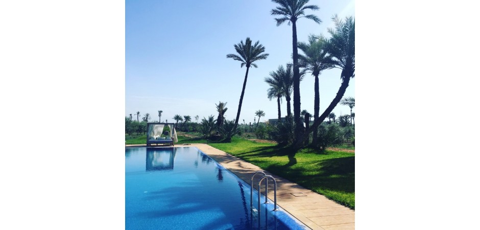 House in the middle of a palm grove