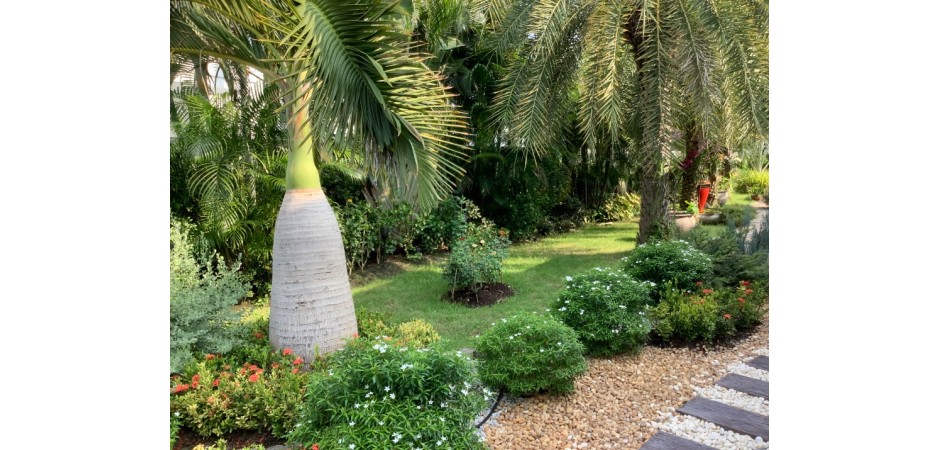 Belle villa calme et spacieuse