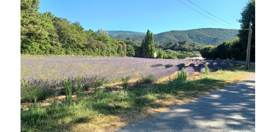 Maison de village au coeur d'un village provençal