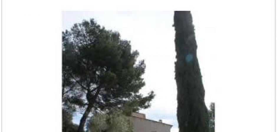 Villa de campagne avec jolie piscine autour des oliviers