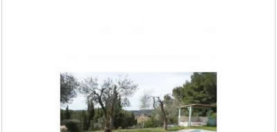 Villa de campagne avec jolie piscine autour des oliviers