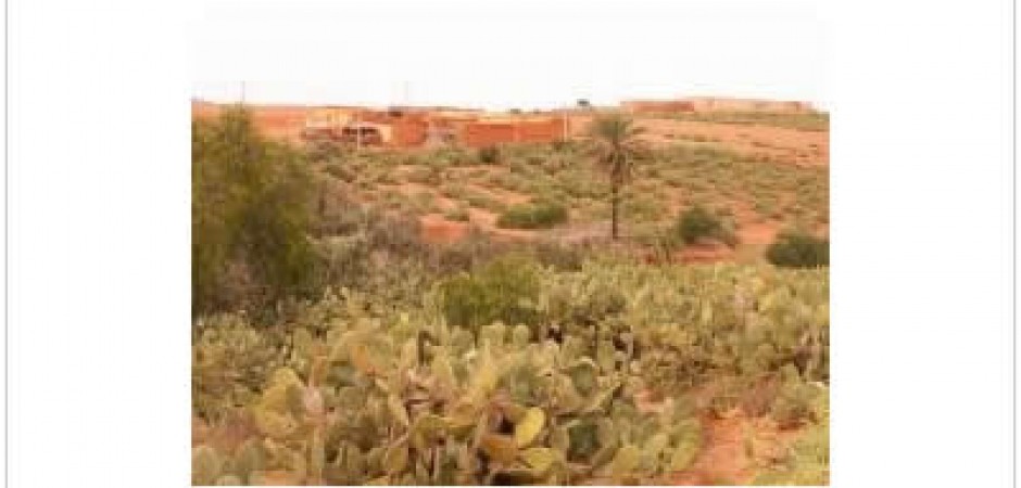 Maison au Maroc