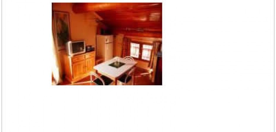 Studio coquet, ambiance chalet de m...