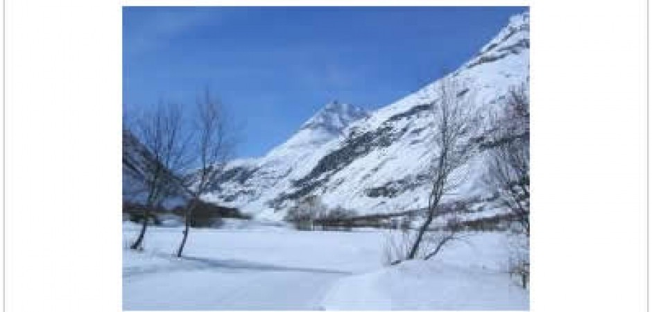 Notre chaler se situe à Bonneval s...