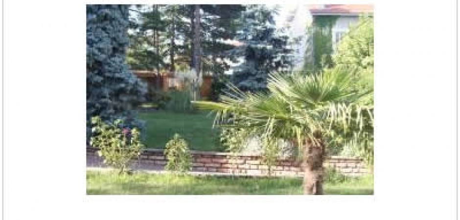 Villa sur 1000 m² de terrain arbor...