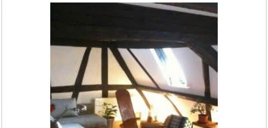 Appartement/Loft à colombages et p...