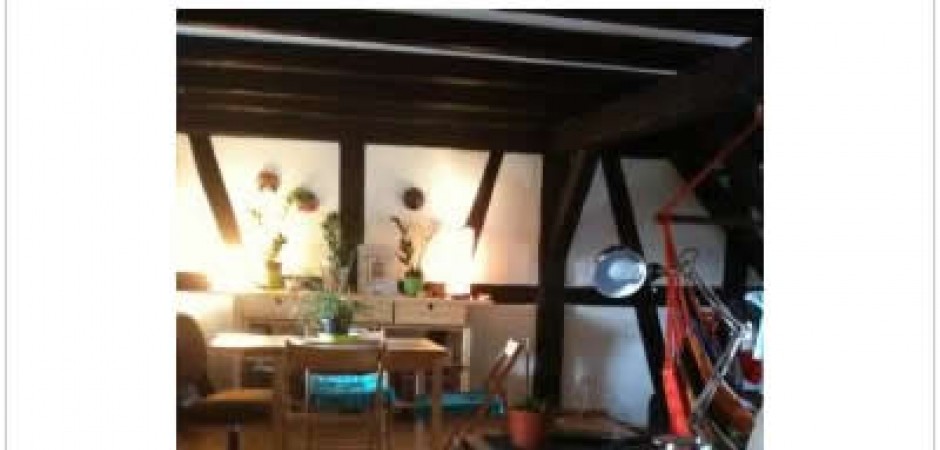 Appartement/Loft à colombages et p...