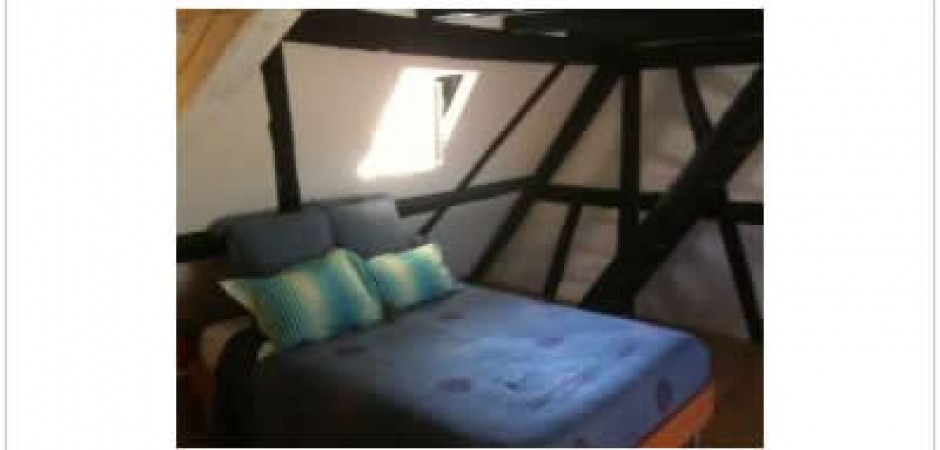 Appartement/Loft à colombages et p...