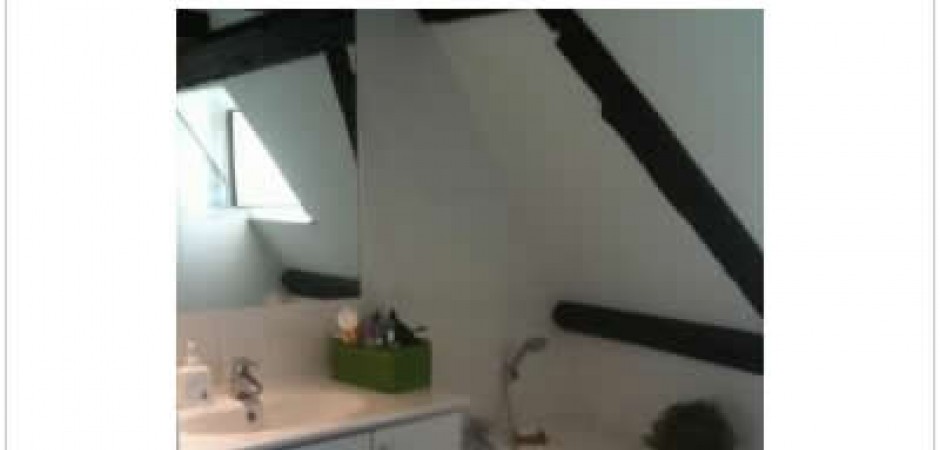 Appartement/Loft à colombages et p...