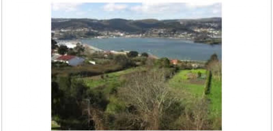 WE OFFER A VERY NICE FLAT IN GALICIA