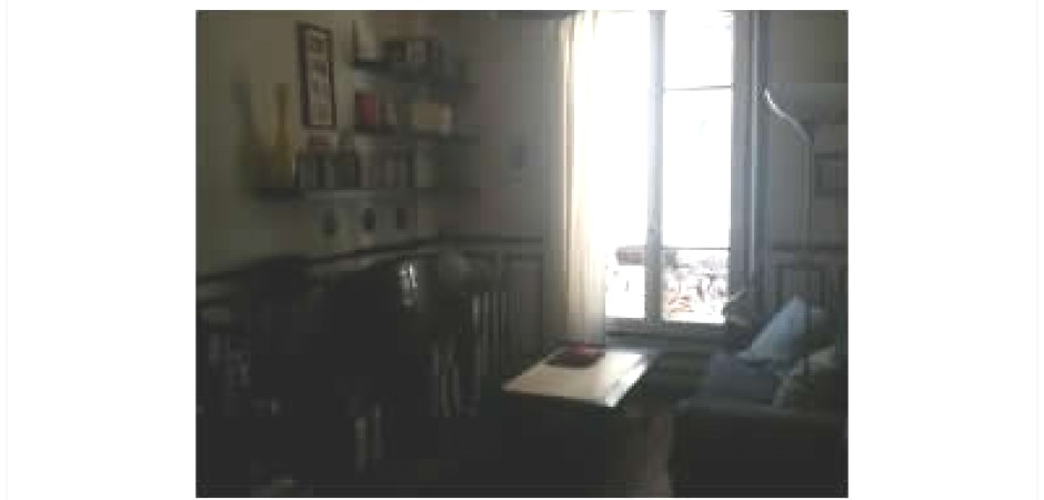 Appartement de 45 m2 - Paris