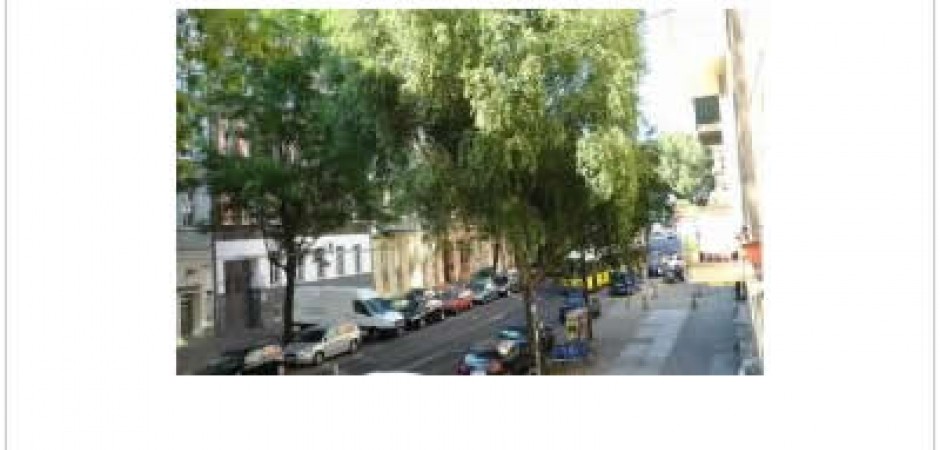 Beautiful two bedroom apartment in one of the hippest streets of Mitte/Prenzlauerberg