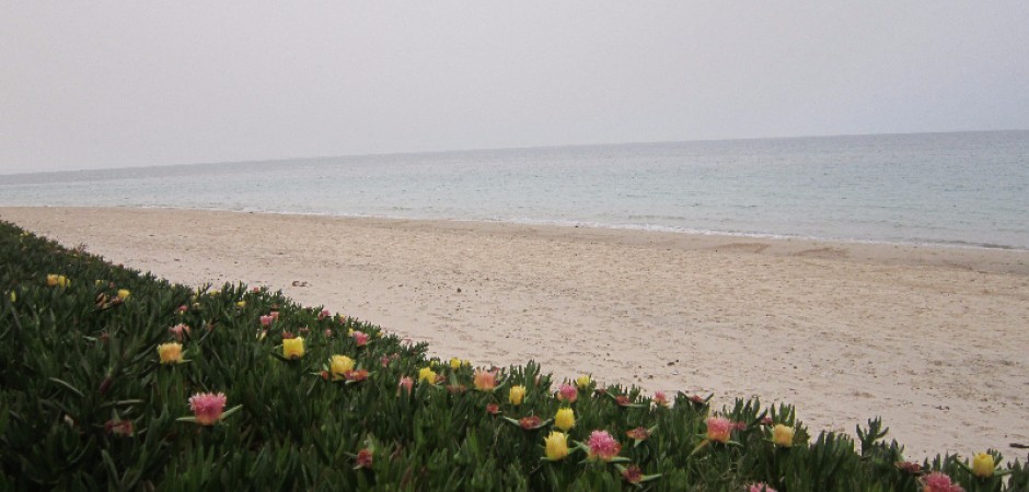 Bord plage, quartier calme, sousse ...