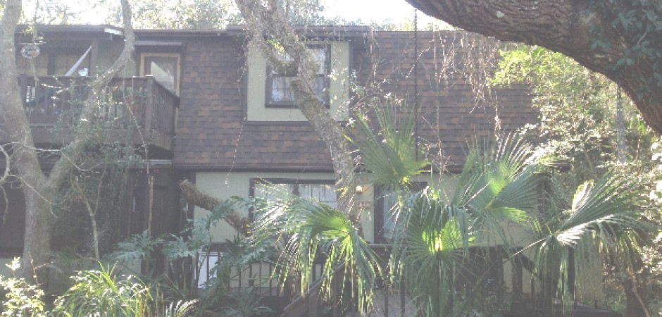 A Retreat at the Beach, in Florida Nature