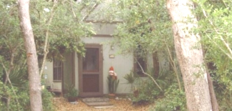 A Retreat at the Beach, in Florida Nature