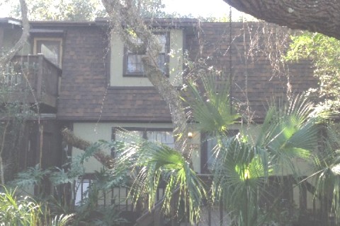 A Retreat at the Beach, in Florida Nature