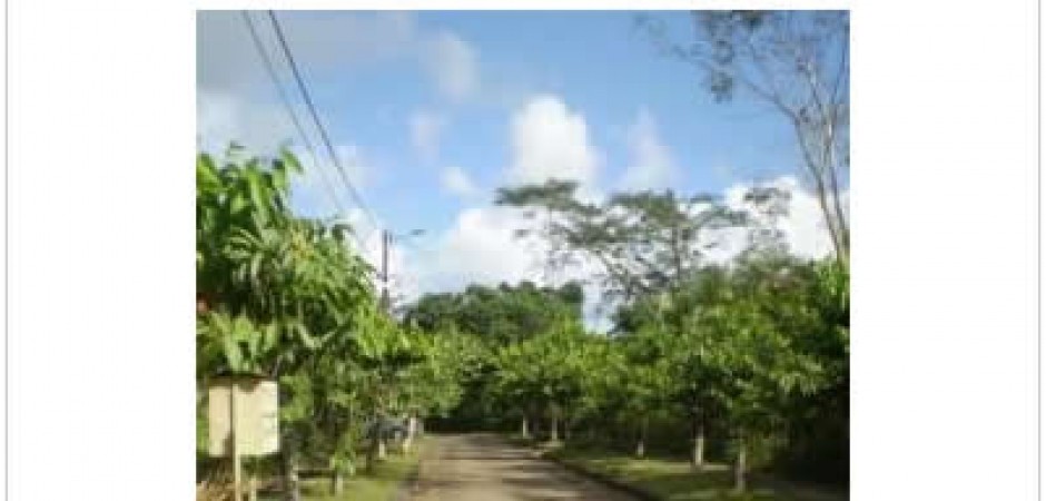 Jolie maison T3, Mayotte