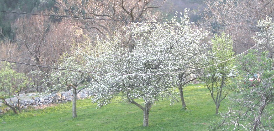 Maison 4 chambres, 2 salles de bain, au milieu de la nature ardéchoise