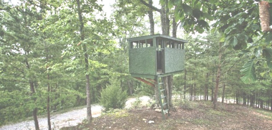 This secluded log cabin sits on top...