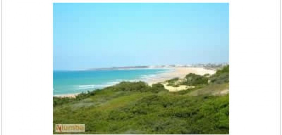 BARROSA. CHICLANA. Apartamento en paseo maritimo de la...