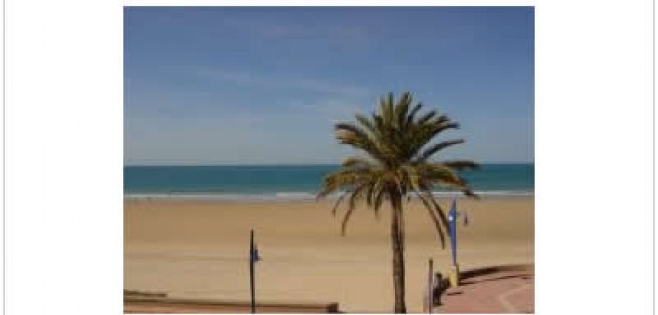 BARROSA. CHICLANA. Apartamento en paseo maritimo de la...