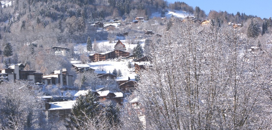 Bel appartement au coeur d'un vieux village montagnard (entre Chamonix et Megève)