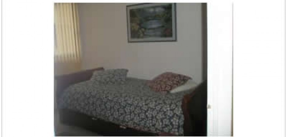 Fully furnished and decorated appar...