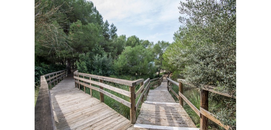 Apartamento de Alto Standing en Primera Línea de Mar.