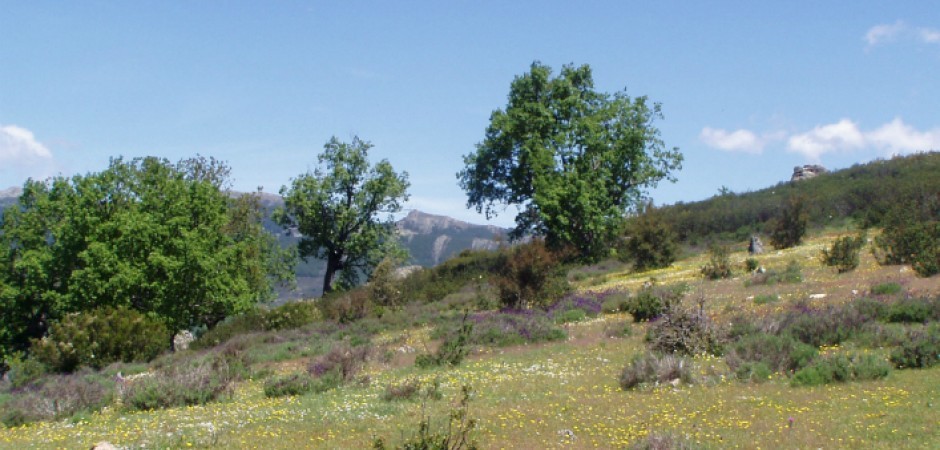 Maison de campagne à Puebla de la Sierra