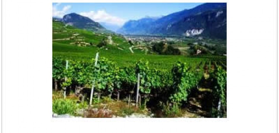 Alpes suisses : charmant appartement en vieille ville de Sion