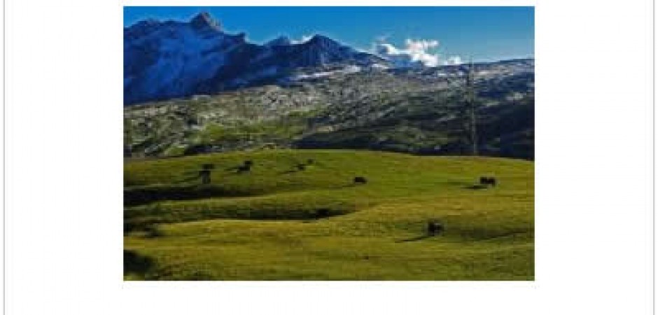 Alpes suisses : charmant appartement en vieille ville de Sion