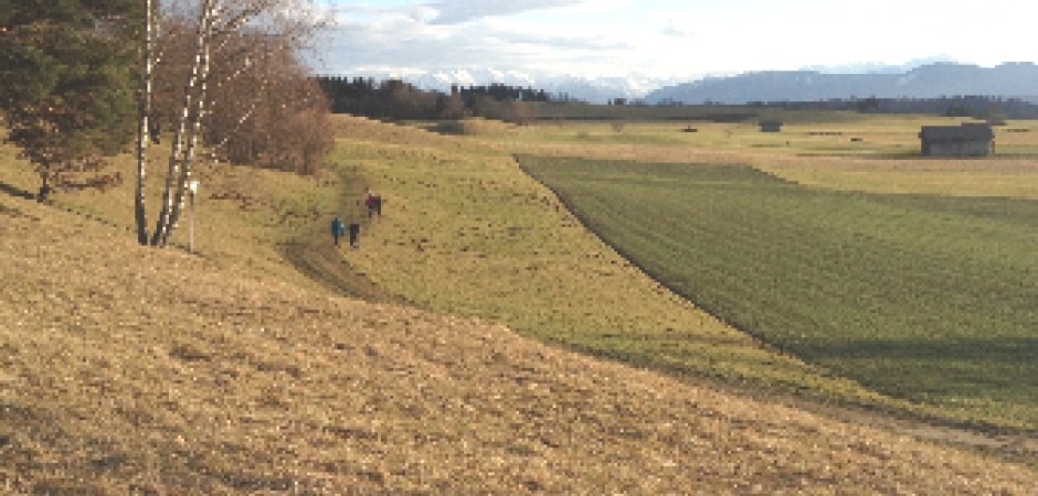 Altbauwohnung in 5-Seen -Land 