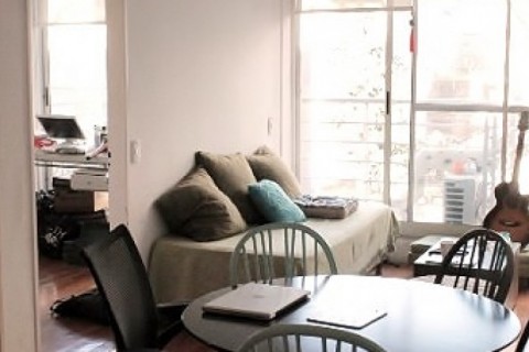 Lightfull and comfortable 2 bedroom apartment in Buenos Aires