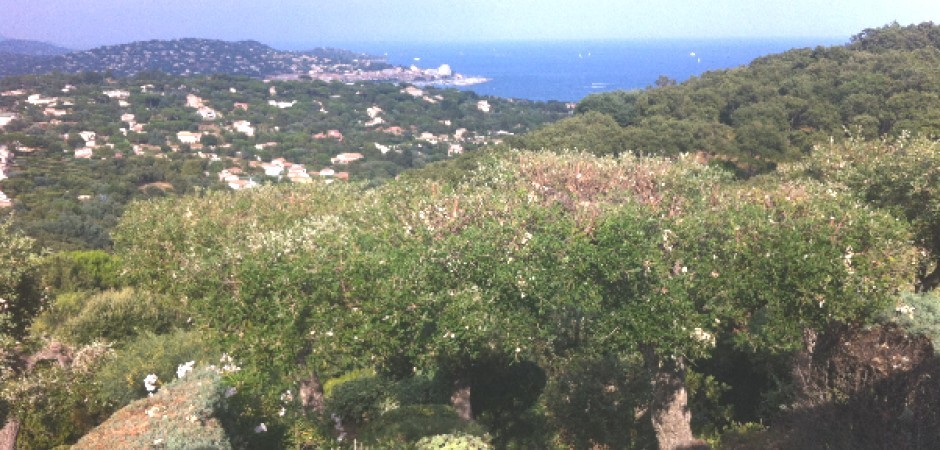 Nid douillet au soleil du var