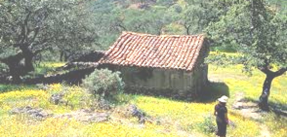 Casa en Aracena, en el  Parque Natural Sierra de Aracena y Picos de Aroche