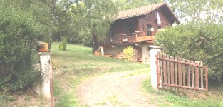 Lumière et nature dans un chalet douillet